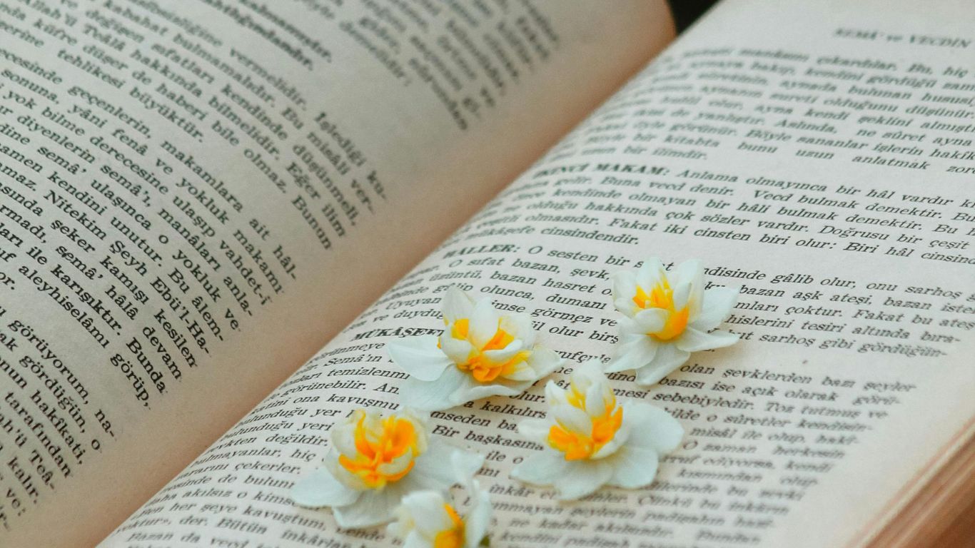 cach su dung cac vi du cau chuyen